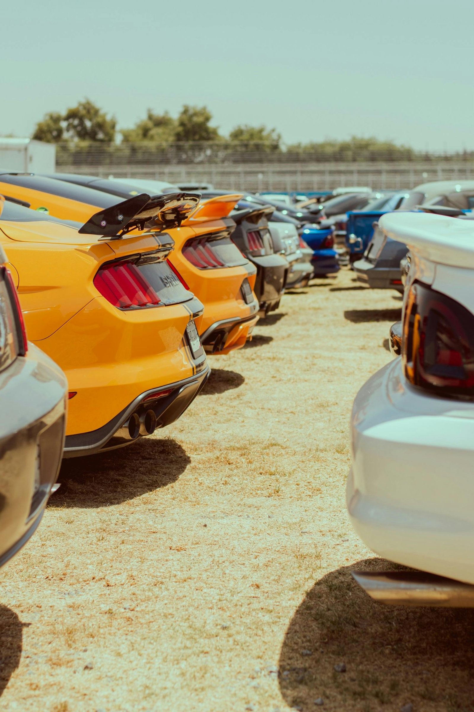 Car rental